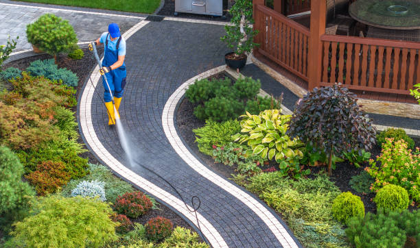 Best Affordable Power Washing  in Lakewood Park, TN